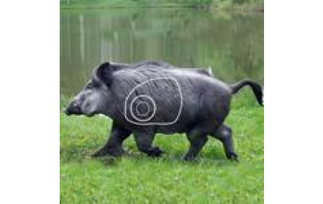 Meilleures performances régionales...(suite)